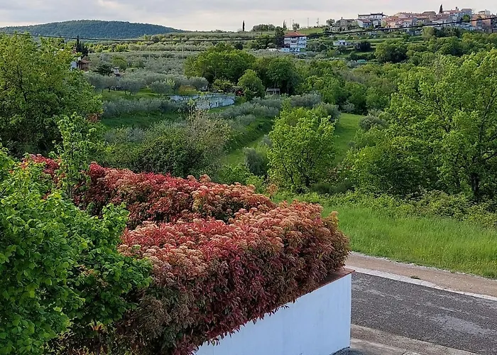 Aliana Apartment
